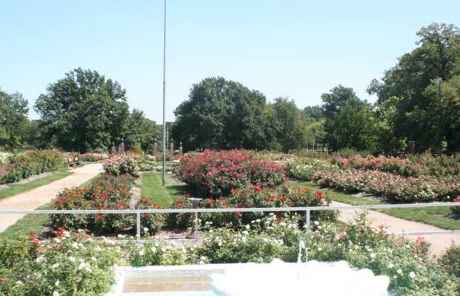 Reinisch Rose Garden at Gage Park